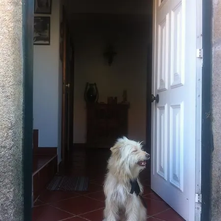 Σπίτι διακοπών Refugio Da Aldeia *